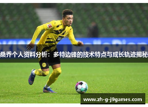 桑乔个人资料分析:多特边锋的技术特点与成长轨迹揭秘 桑乔个人资料分析:多特边锋的技术特点与成长轨迹揭秘
